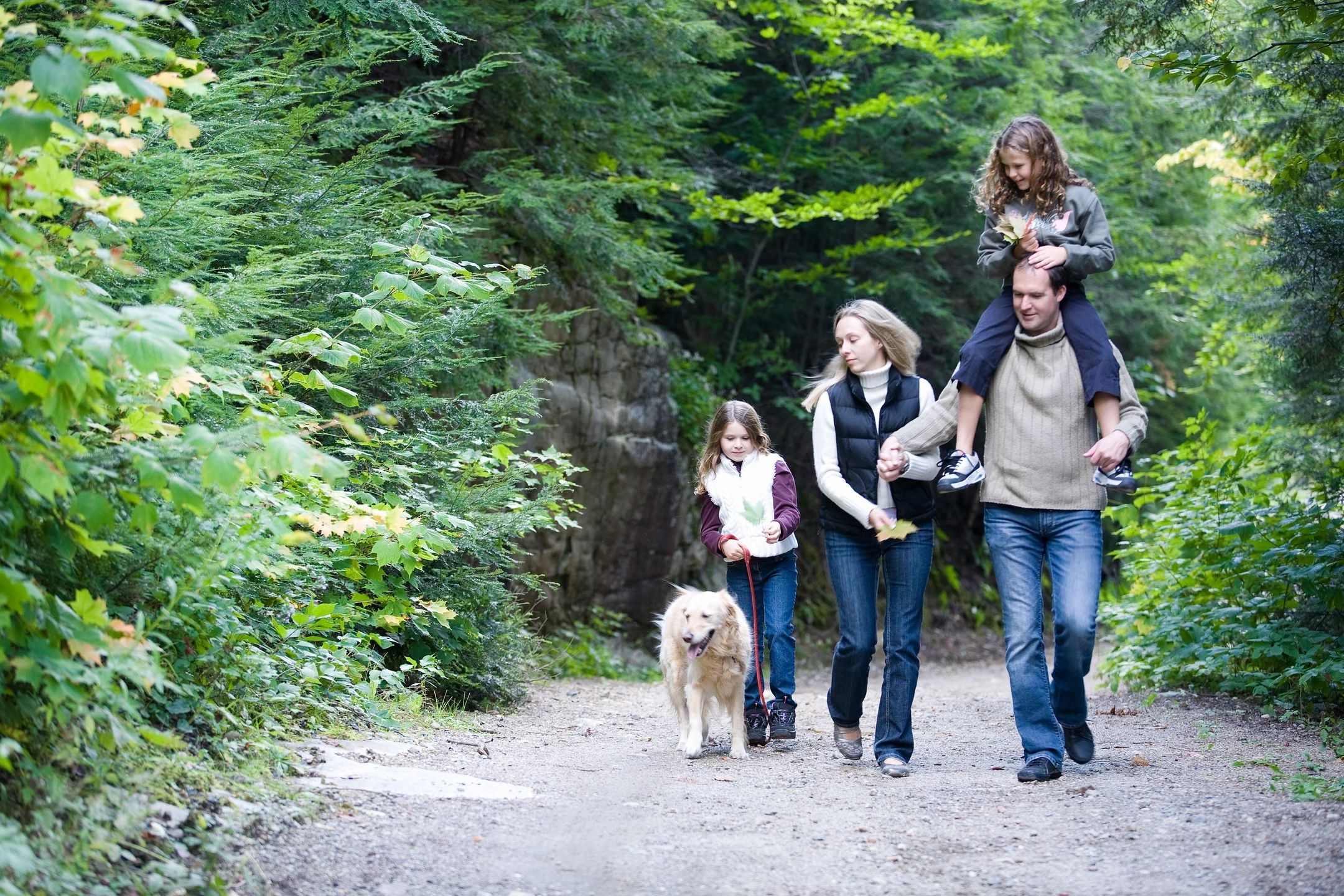 Family Therapy and Parenting Support